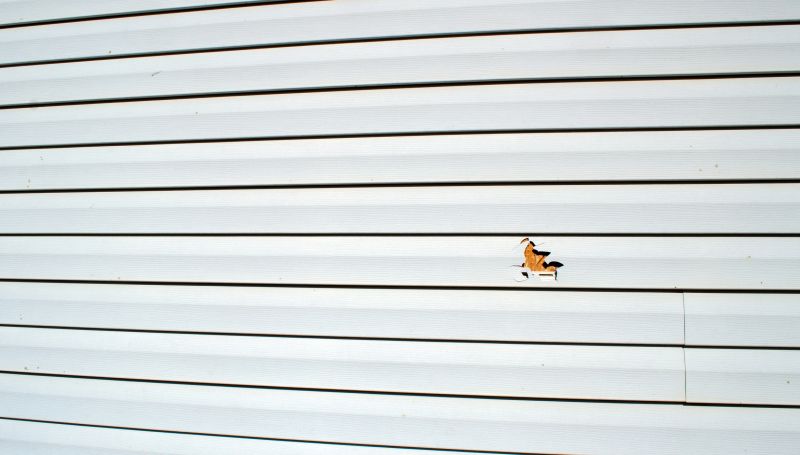 Vinyl Siding Repair in Progress